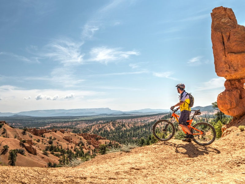 Zion Mountain Biking